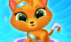 Cute Cat Doctor image