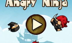 Angry Ninjas image
