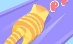 image bg Cat Evolution