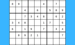 Sudoku for bro image