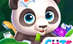image bg Wild Animal Care And Salon