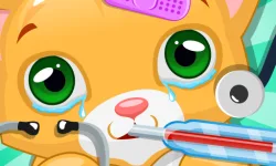 image bg Kitty Doctor