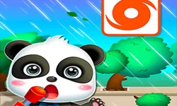 Baby Panda Hurricane Safety image