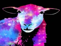 Disco Tunes image