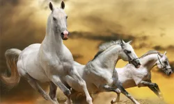 Running Horse Slide image