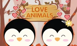 image bg Love Animals