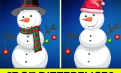 image bg Christmas Spot differences