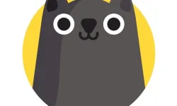 Catch The Cat image