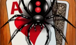 image bg Classic Spider Solitaire