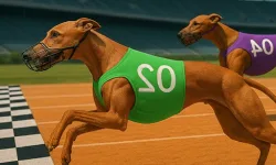 Dog Racing Master Game image