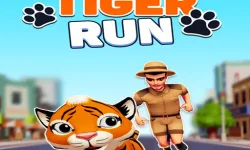 Tiger Run image