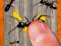 image bg smash the insectt
