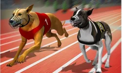 image bg Racing Dog Simulator : Crazy Dog Racing Games