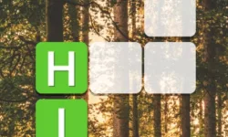 Word Blocks image