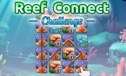 image bg Reef Connect Challenge