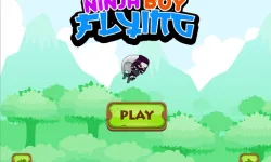 image bg Ninja flying boy