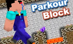Minecraft Parkour Block image