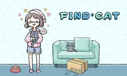 image bg Find Cat