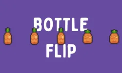 BottleFlip image