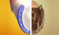 image bg Horseshoeing
