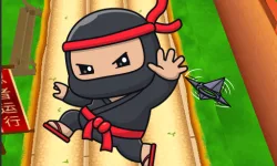 image bg Nano Ninjas