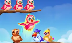 image bg Birds Sort Color Match Puzzle