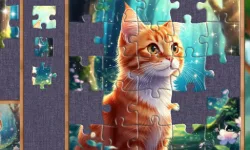 Fragments of Wonder image