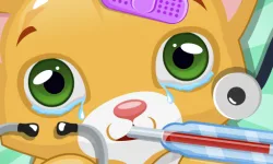 Little Cat Doctor image