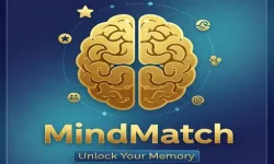 MindMatch image