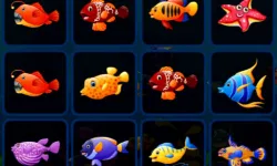 Fish Cards Match image