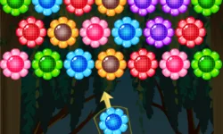 image bg Flower Shooter