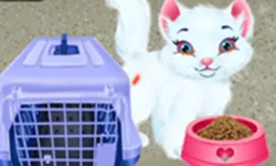 Baby Taylor Pet Care - Save Cute Animals image