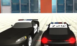 Police Cars image