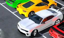 image bg Real Advance Car parking