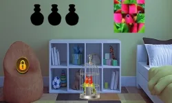 Couple Parrot Escape image