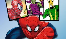 Spiderman Match Cards image