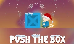 Push The Box Game image