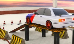 Crazy Cars Parking image
