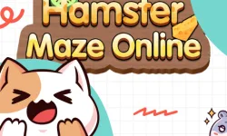 Hamster Maze image