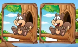 Jungle 5 Diffs image