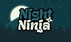 image bg Night Ninja