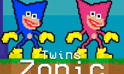 Twins Zonic image