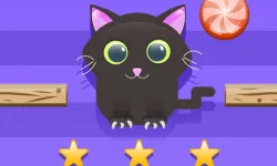 Cut For Cat Challenge image