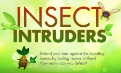 Insect Intruders image