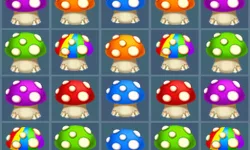 image bg Mushroom Match