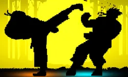 Shadow Fights image
