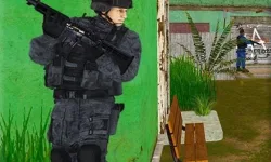 Gun Strike image