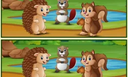 Spot The Differences Forests image
