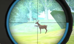 image bg Hunter