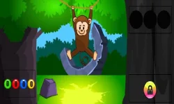 Funny Monkey Forest Escape image